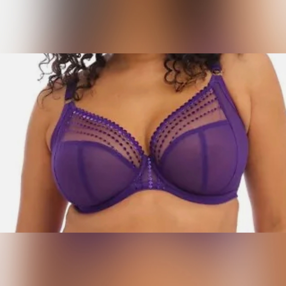 Elomi Purple Bra 34i